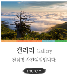 천심명_메인링크_갤러리